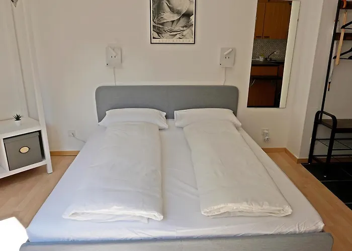 Schick Und Freundlich, Zentral, Modernes - C5 Apartamento St Moritz